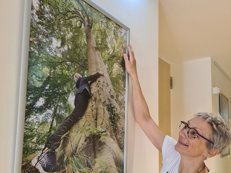 Frau hängt ein Bild im Flur des Diakonie Hospiz Wannsee auf Frau hängt ein Bild im Flur des Diakonie Hospiz Wannsee auf